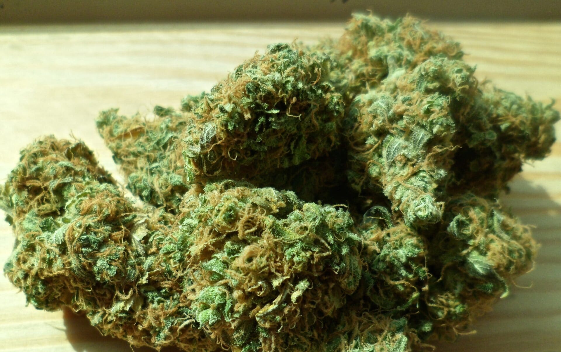Cannabis, marijuana, green drug (Health and Medical) cannabis,green,drug,weed,medical,leaf,grass